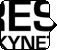 Skynet Research logo