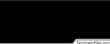 Terminator Flash videos and files