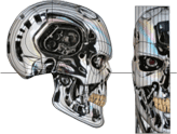 Disecting the Endoskeleton