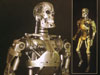 Wooden Terminator