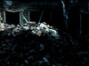 Test render environment